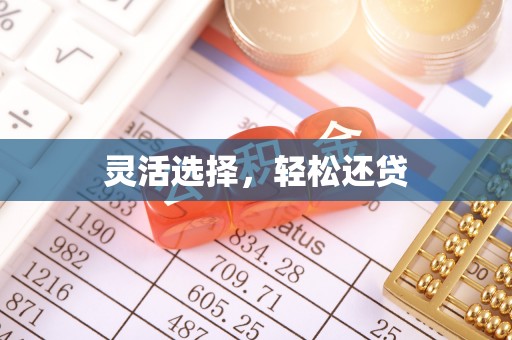 平房灵活选择，轻松还贷